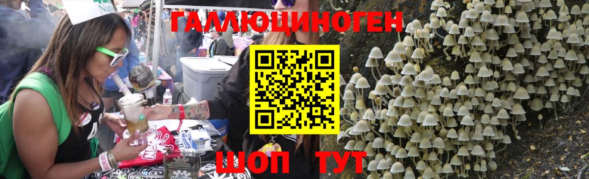 Галлюциногенные грибы Psilocybe  Псилоцибиновые грибы мухоморы  Лиски  Вход с VPN 